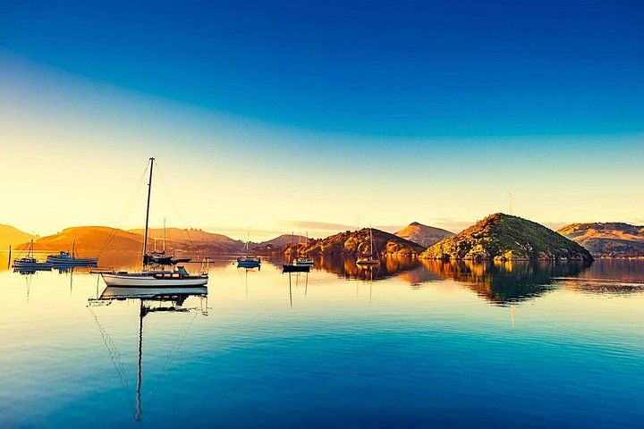 Dunedin Harbour